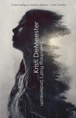 Buch Everything That's Underneath Kristi Demeester