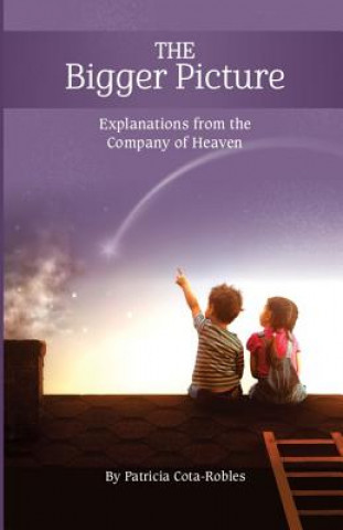 Carte The Bigger Picture: Explanations from the Company of Heaven Patricia Cota-Robles