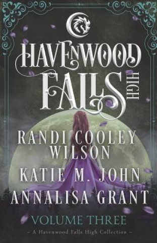 Книга Havenwood Falls High Volume Three: A Havenwood Falls High Collection Randi Cooley Wilson