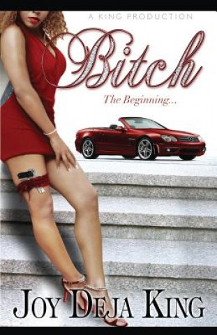 Knjiga Bitch the Beginning Joy Deja King