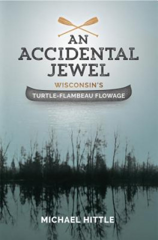 Książka An Accidental Jewel Michael Hittle