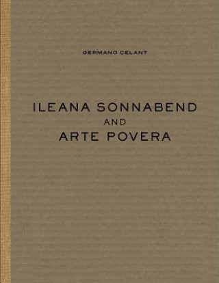 Kniha Ileana Sonnabend and Arte Povera Michelangelo Pistoletto