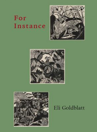 Knjiga For Instance Eli Goldblatt
