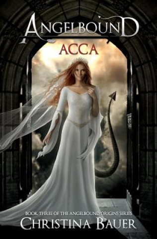 Buch Acca Christina Bauer
