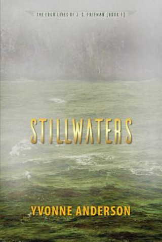 Buch Stillwaters Yvonne Anderson