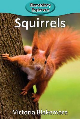 Könyv Squirrels Victoria Blakemore
