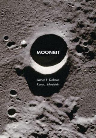 Knjiga Moonbit Rena J. Mosteirin