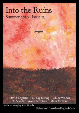 Könyv Into the Ruins: Summer 2019 (Issue 13) G. Kay Bishop