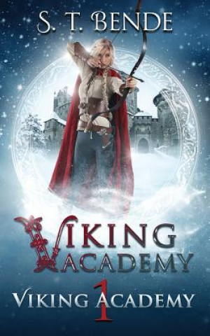 Book Viking Academy S. T. Bende