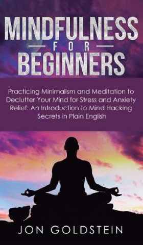 Book Mindfulness for Beginners Jon Goldstein