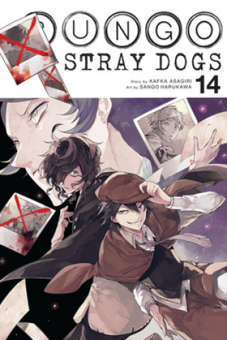 Kniha Bungo Stray Dogs, Vol. 14 Kafka Asagiri