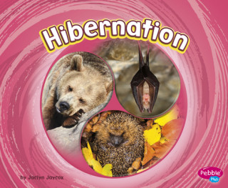 Kniha Hibernation Jaclyn Jaycox
