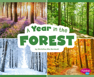 Book A Year in the Forest Christina Mia Gardeski