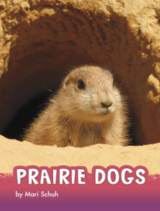 Buch Prairie Dogs Mari C. Schuh