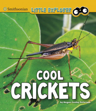Kniha Cool Crickets Megan Cooley Peterson