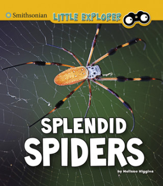Book Splendid Spiders Melissa Higgins