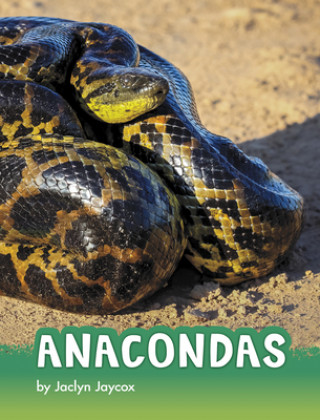 Knjiga Anacondas Jaclyn Jaycox