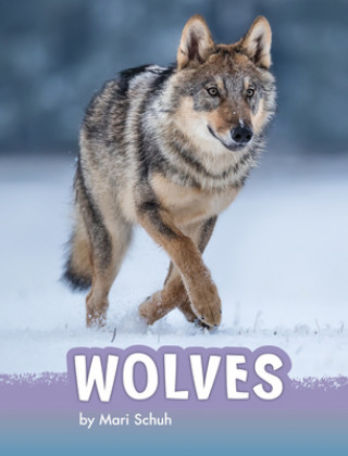 Buch Wolves Mari C. Schuh
