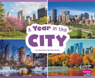 Kniha A Year in the City Christina Mia Gardeski