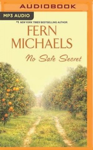 Digital No Safe Secret Fern Michaels