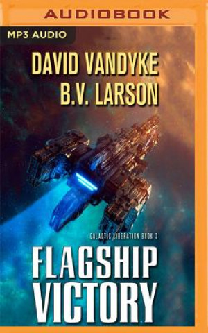 Digital Flagship Victory B. V. Larson