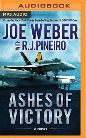 Digital Ashes of Victory Joe Weber