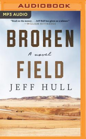 Digital Broken Field Jeff Hull