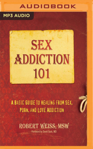 Digital Sex Addiction 101: A Basic Guide to Healing from Sex, Porn, and Love Addiction Robert Weiss