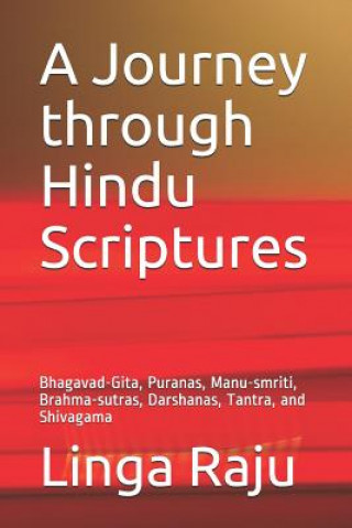 Książka Journey through Hindu Scriptures Linga Raju