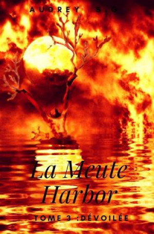 Könyv La Meute Harbor: Tome 3: Dévoilée Audrey Sg