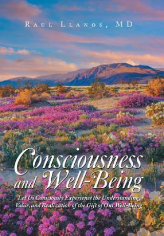 Kniha Consciousness and Well-Being Raul Llanos MD
