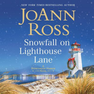 Digital Snowfall on Lighthouse Lane Joann Ross