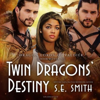 Audio Twin Dragons' Destiny S. E. Smith