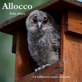 Knjiga Allocco: Strix Aluco Giampietro Lanzanova