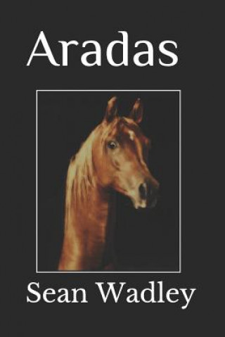Könyv Aradas Sean Wadley