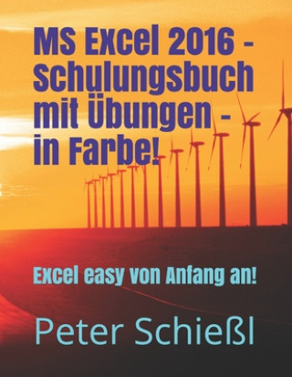 Kniha MS Excel 2016 - Schulungsbuch mit UEbungen - in Farbe! Peter Schiel