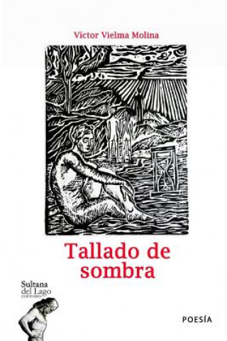 Boek Tallado de Sombra V. Vielma Molina