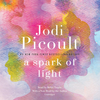 Audio Spark of Light Jodi Picoult