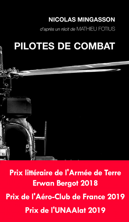 Knjiga Pilotes de Combat Mathieu Fotius