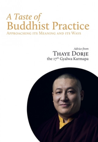 Könyv Taste of Buddhist Practice 