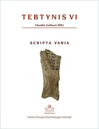 Könyv Tebtynis VI: Scripta Varia Claudio Gallazzi