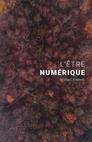 Book L'?tre numérique Michel Noel Habert