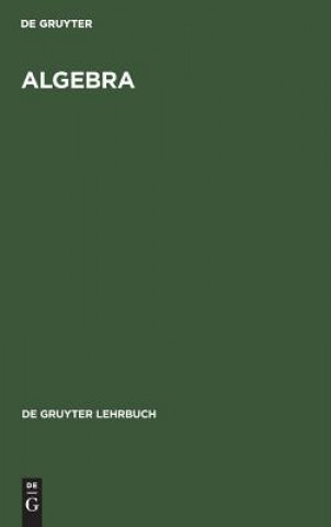 Könyv Algebra Degruyter