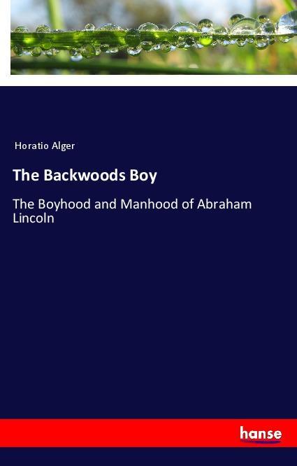 Buch The Backwoods Boy Horatio Alger