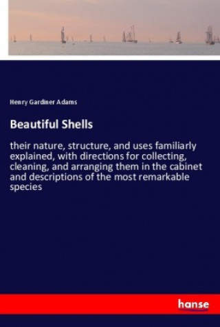 Buch Beautiful Shells Henry Gardiner Adams