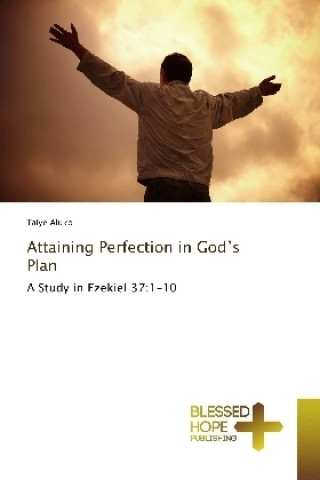 Книга Attaining Perfection in God's Plan Taiye Aluko