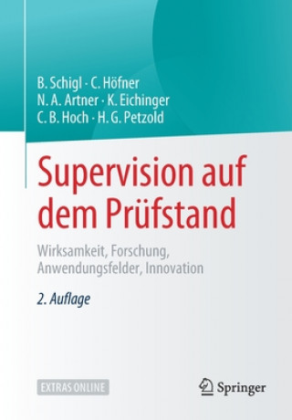 Kniha Supervision Auf Dem Prufstand Brigitte Schigl
