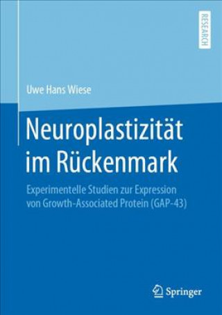 Carte Neuroplastizität im Rückenmark Uwe Hans Wiese