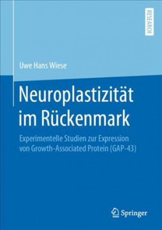 Kniha Neuroplastizität im Rückenmark Uwe Hans Wiese