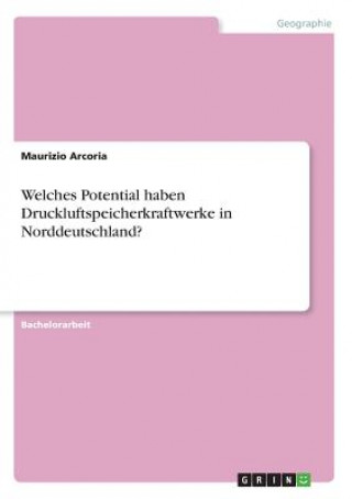Könyv Welches Potential haben Druckluftspeicherkraftwerke in Norddeutschland? Maurizio Arcoria